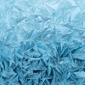 AC Frozen? Here's what to do | Oasis Air Phoenix